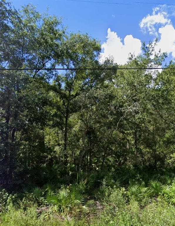 GOWAN STREET NEW PORT RICHEY, FL 34654