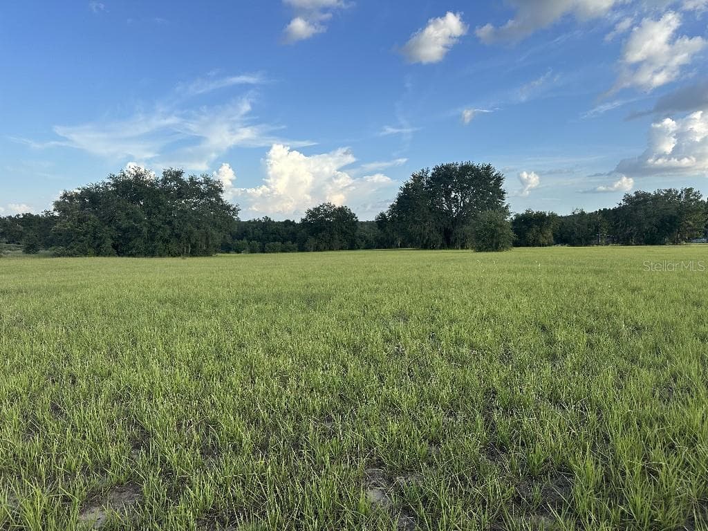 5497 NANTAHALA LANE LADY LAKE, FL 32159