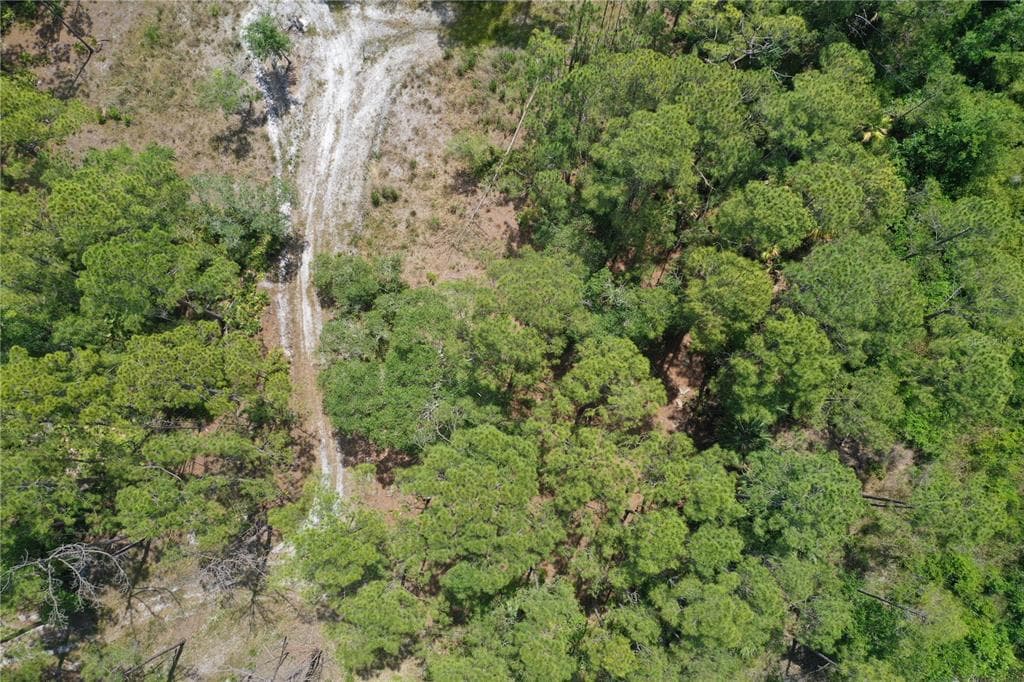 SW 75TH ST CEDAR KEY, FL 32625