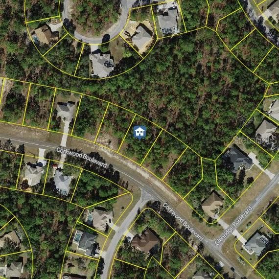 62 CORKWOOD BOULEVARD HOMOSASSA, FL 34446