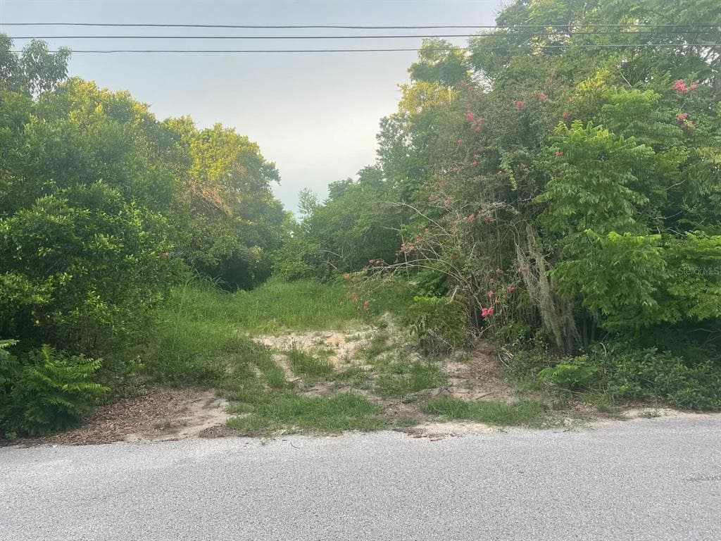 0 ORTEGA SPRING HILL, FL 34609