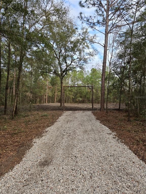 NE 127TH COURT WILLISTON, FL 32696