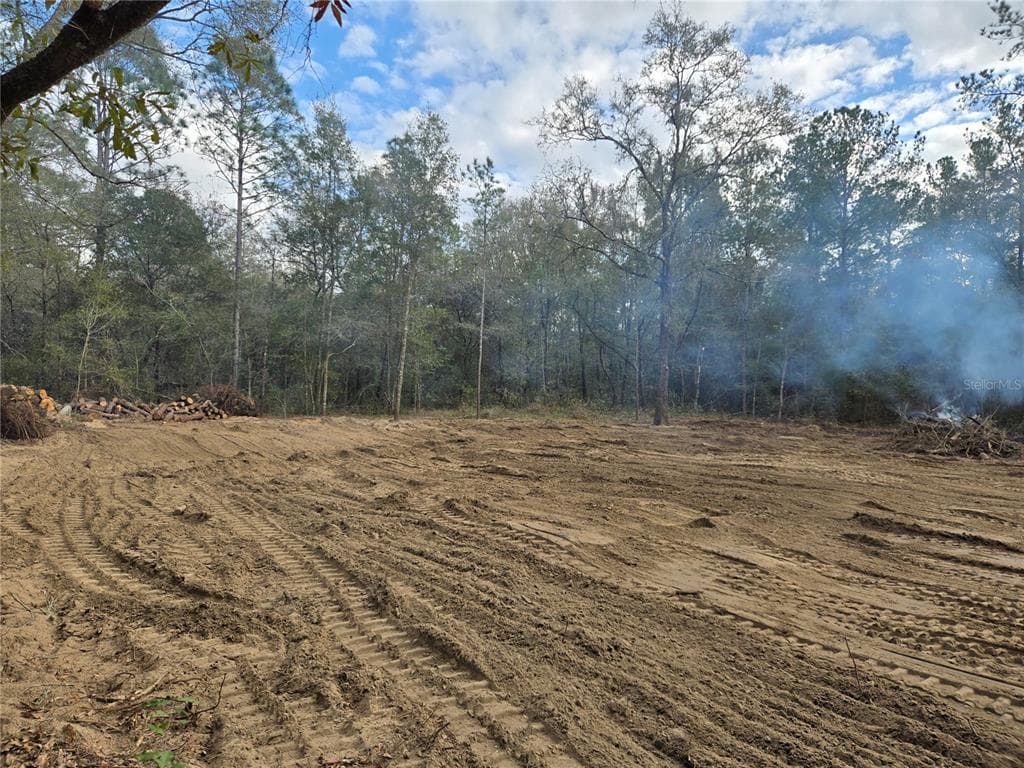 NE 127TH COURT WILLISTON, FL 32696
