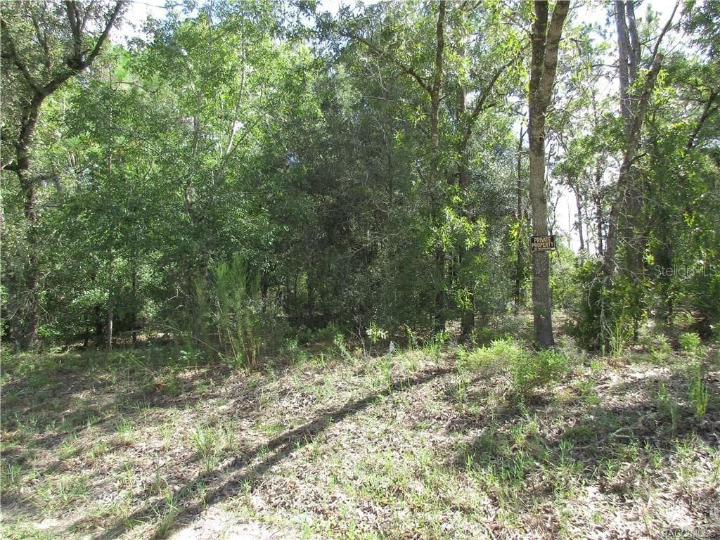 8339 N CREEK WAY CITRUS SPRINGS, FL 34434
