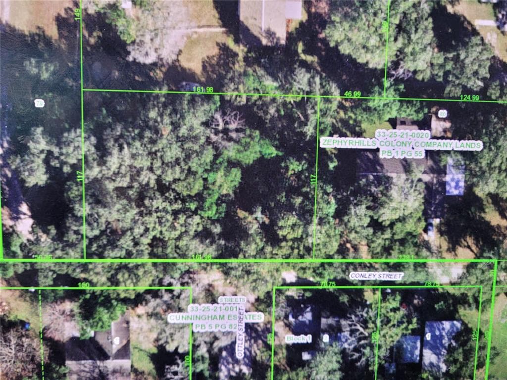 36795 CONLEY STREET ZEPHYRHILLS, FL 33541
