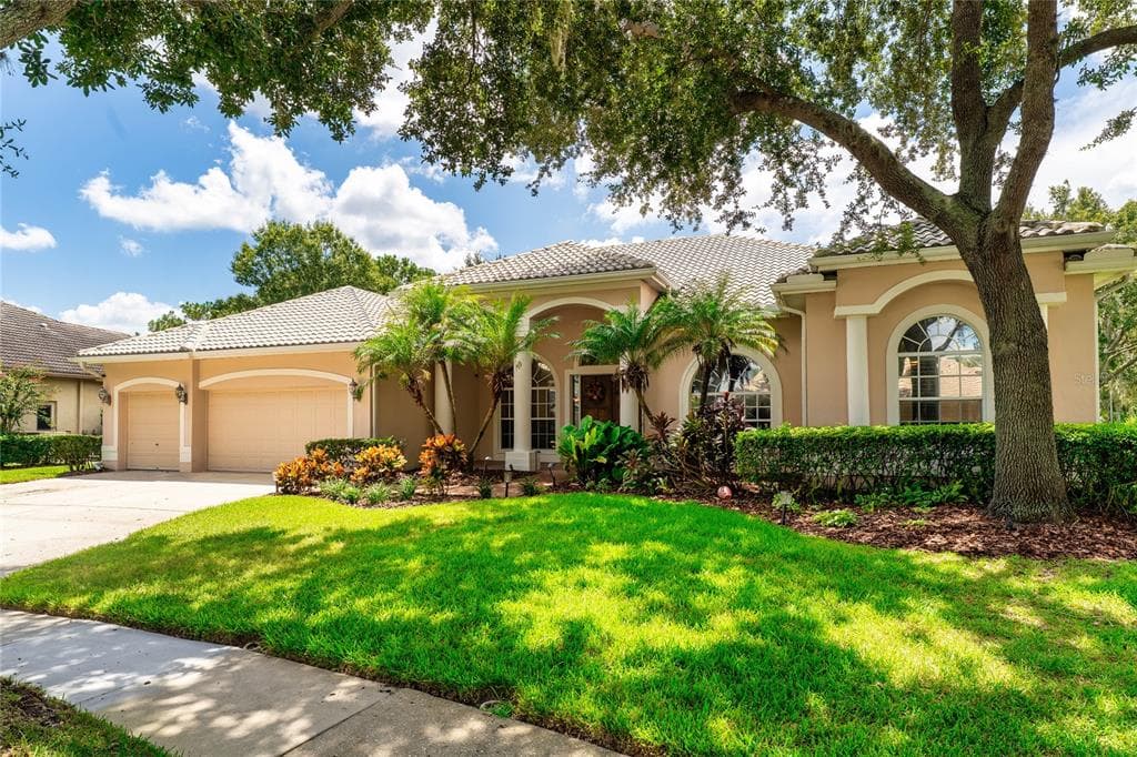 9117 WOODRIDGE RUN DRIVE TAMPA, FL 33647