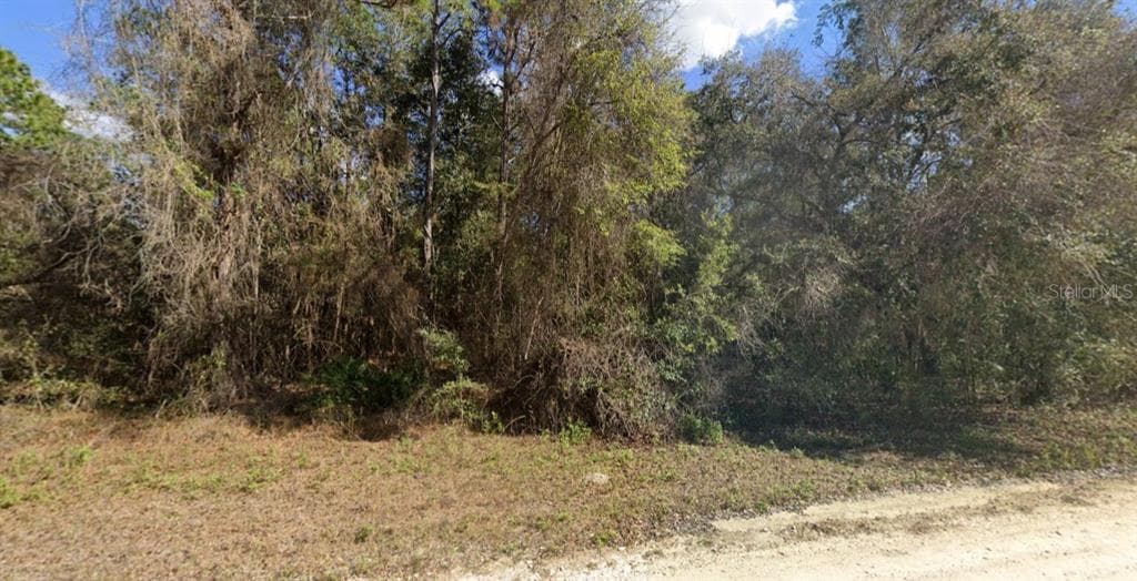 13414 CANYON SWALLOW ROAD WEEKI WACHEE, FL 34614