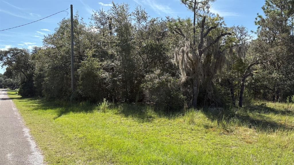 418 E LANCASTER STREET LECANTO, FL 34461