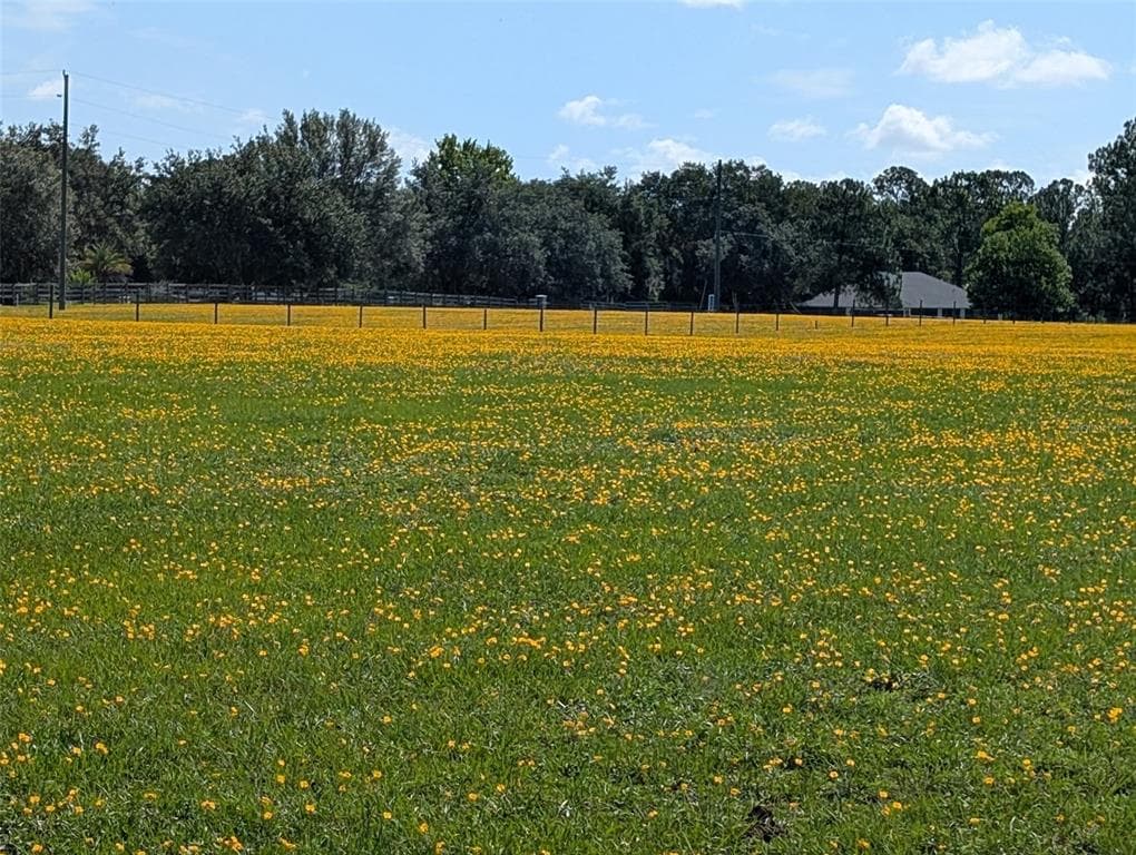 GREEN SWAMP ROAD CLERMONT, FL 34714