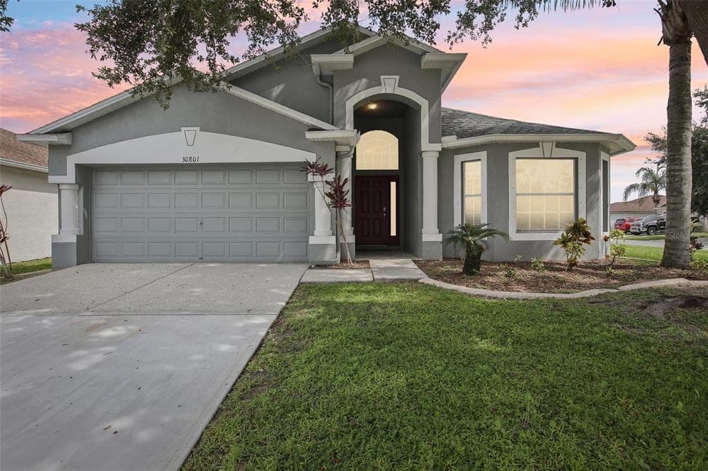 30801 BIRDHOUSE DRIVE WESLEY CHAPEL, FL 33545