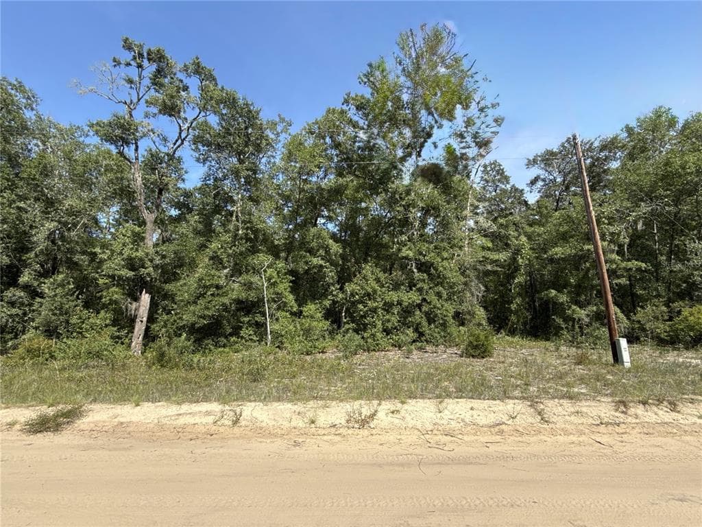 0 GLORIA AVENUE INTERLACHEN, FL 32148
