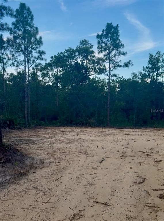 13358 POTOMAC AVENUE BROOKSVILLE, FL 34614