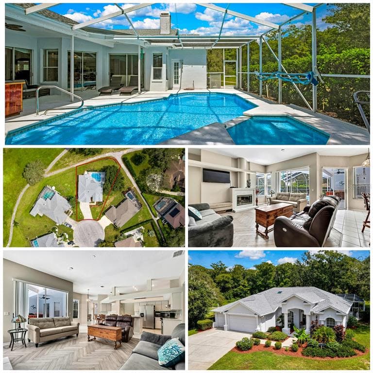 16850 CHICKADEE COURT SPRING HILL, FL 34610