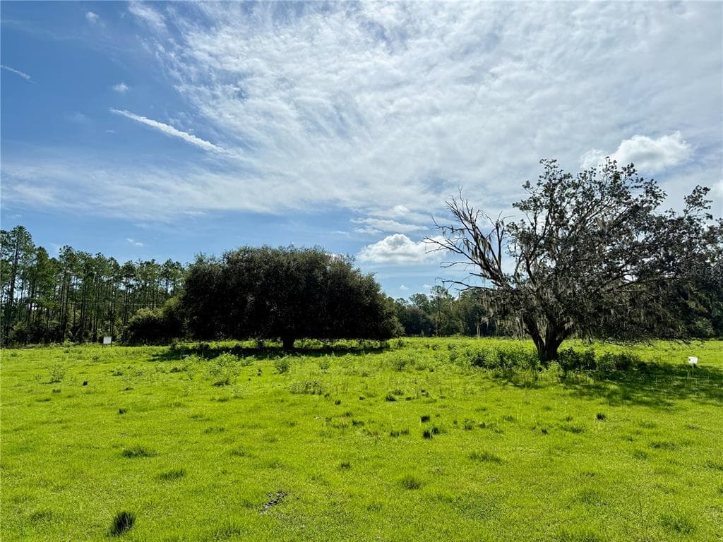 10460 EHREN CUTOFF LAND O LAKES, FL 34639