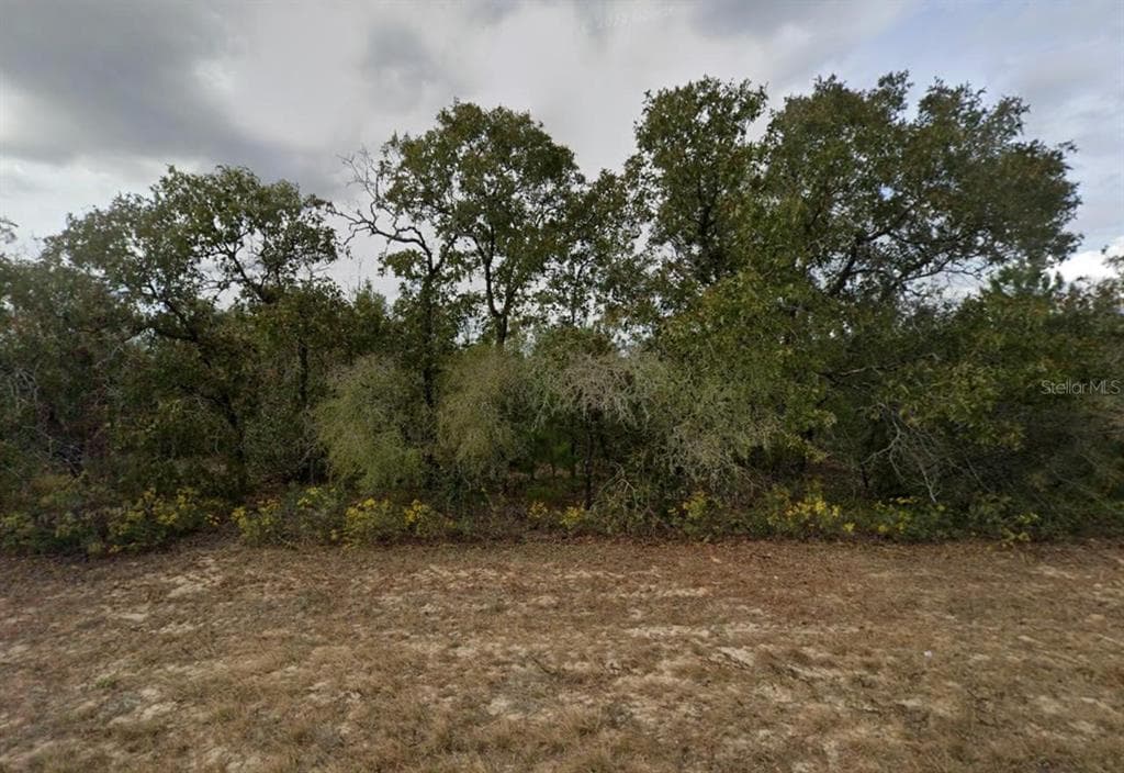 AIRMONT DRIVE CHIPLEY, FL 32428
