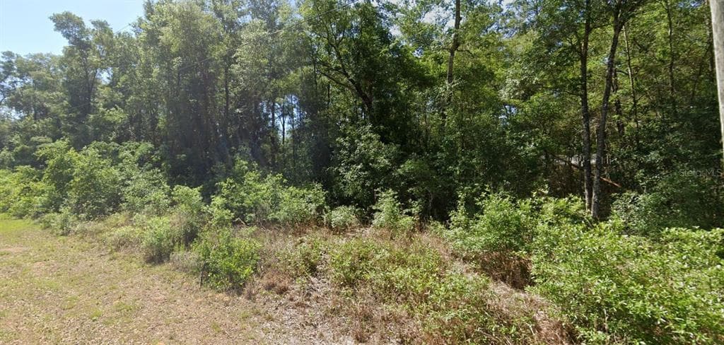 00 SW STARLING DRIVE DUNNELLON, FL 34431