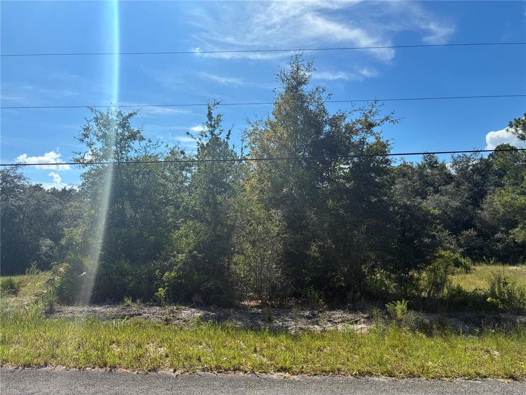 SW SOUTH WIND COURT DUNNELLON, FL 34430