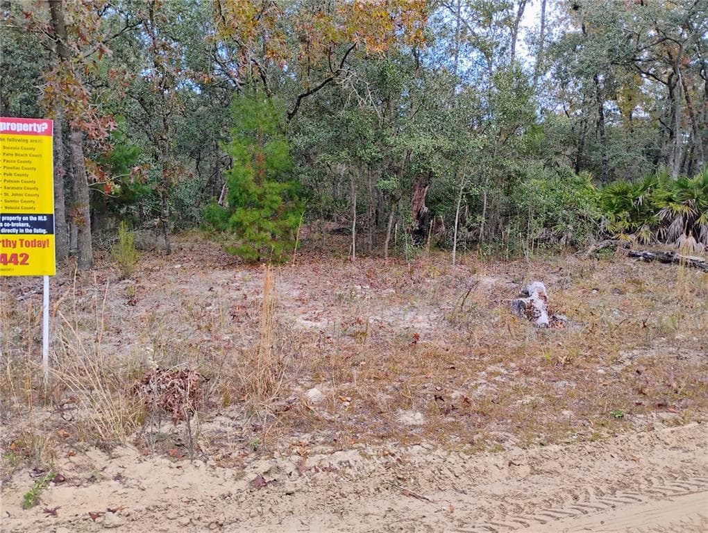 244 THOMPSON AVENUE INTERLACHEN, FL 32148