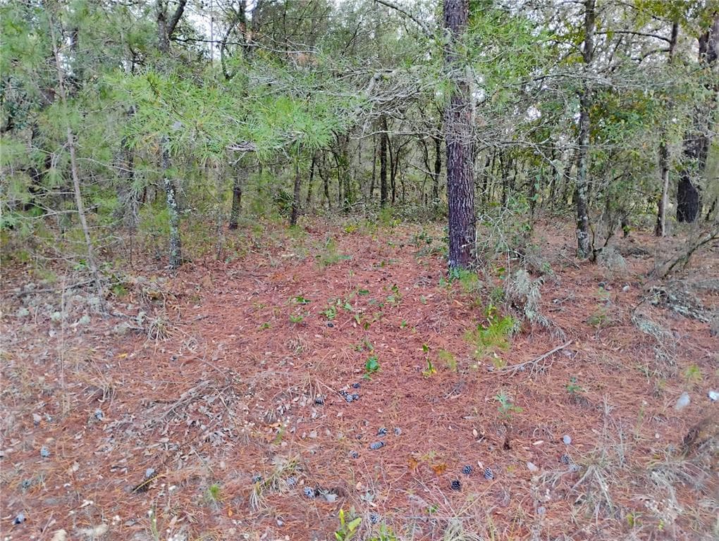302 KENNEDY AVENUE INTERLACHEN, FL 32148