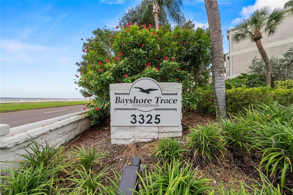 3325 BAYSHORE BOULEVARD UNIT C11 TAMPA, FL 33629