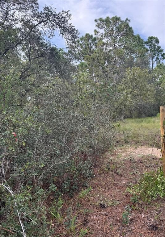 SCOOBY ROAD BROOKSVILLE, FL 34604