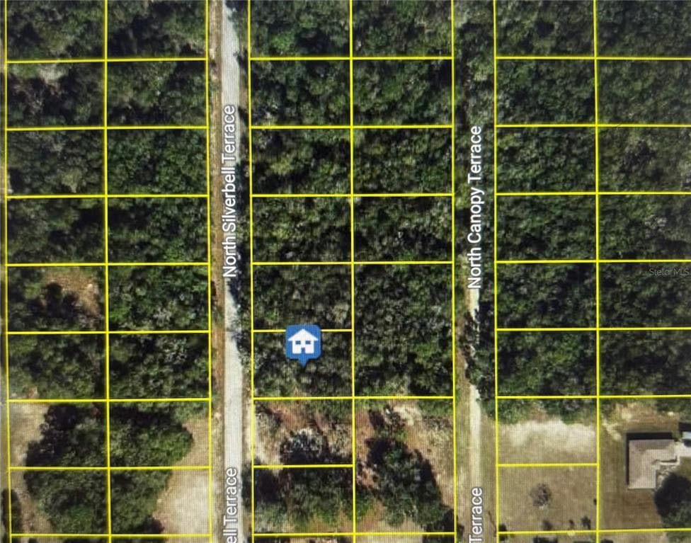 6515 N SILVERBELL TERRACE HERNANDO, FL 34442