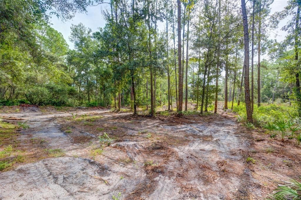 34389 GRINDSTONE DRIVE WEBSTER, FL 33597