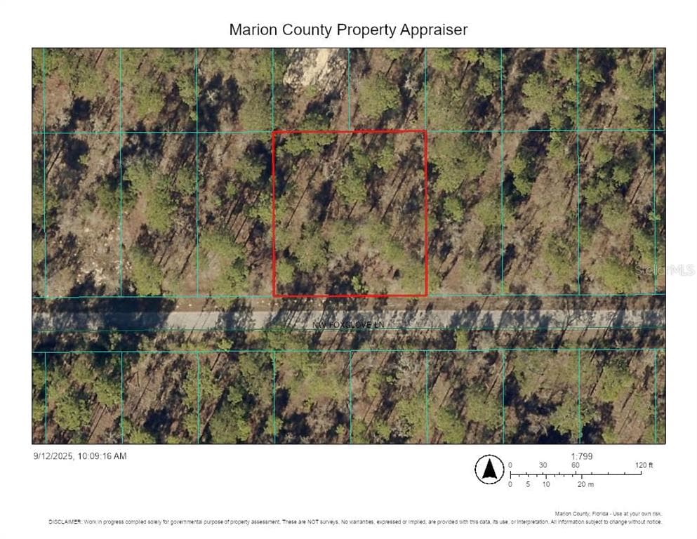 TBD FOXGLOVE LANE OCALA, FL 34472