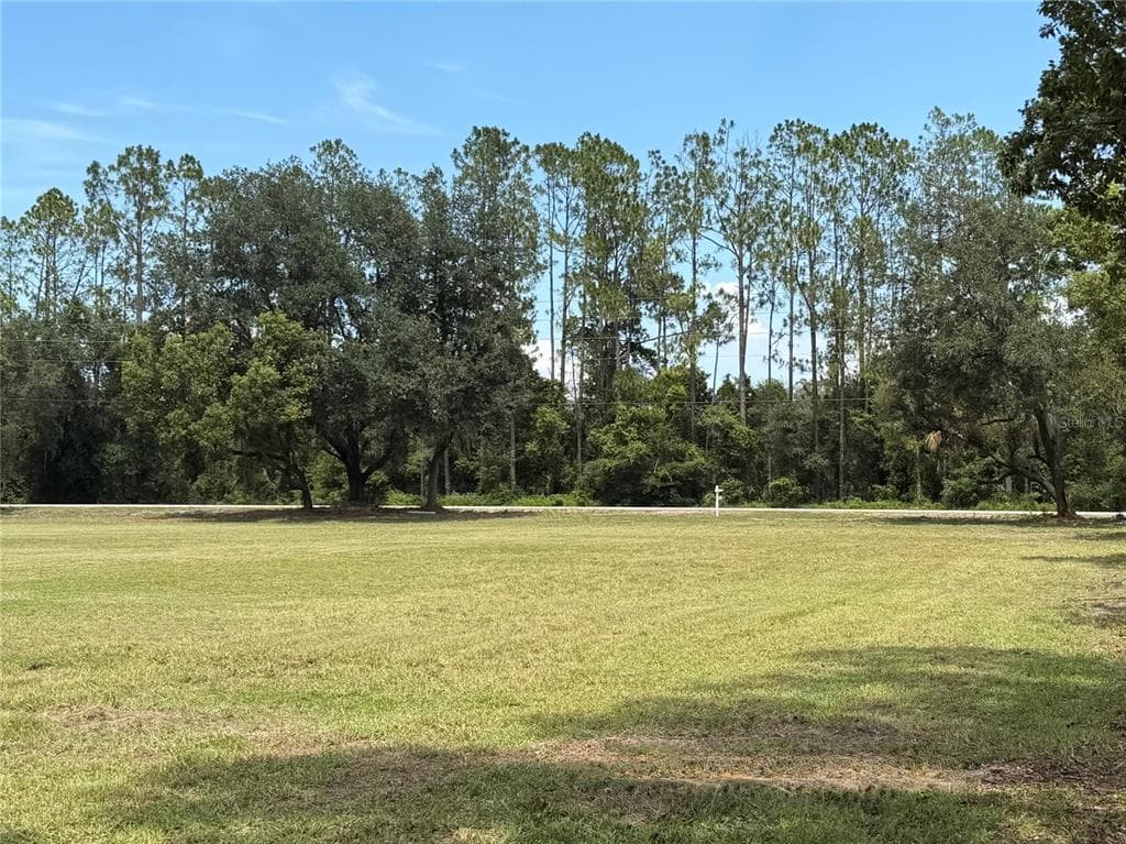 BELLAMY BROTHERS BOULEVARD DADE CITY, FL 33525