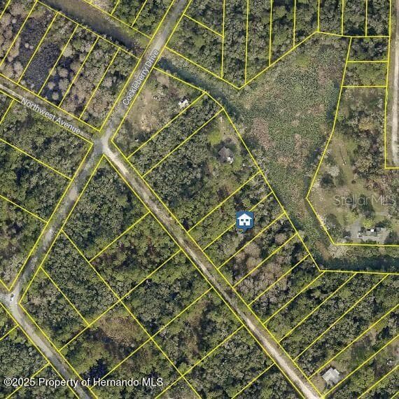 lOT 7 NORTHWEST AVENUE WEBSTER, FL 33597