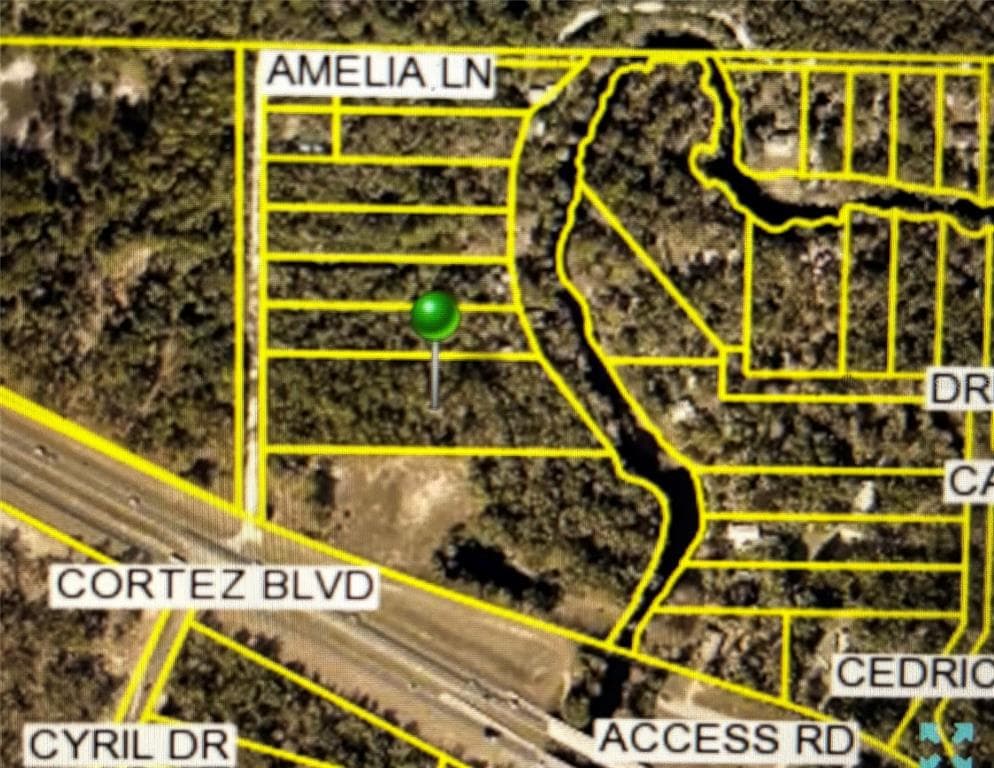 AMELIA LANE DADE CITY, FL 33523