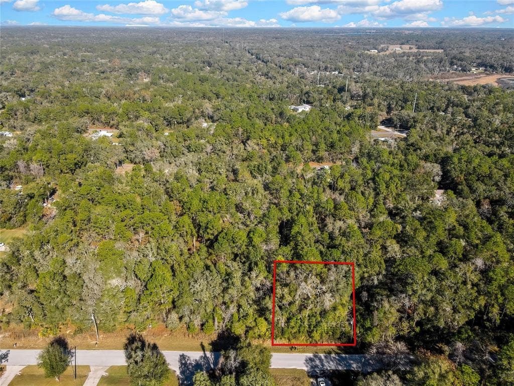 3193 E PORTER STREET INVERNESS, FL 34453