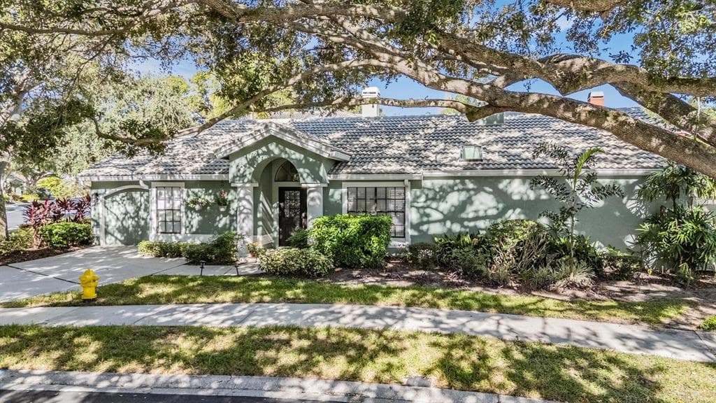 407 GEORGETOWN PLACE SAFETY HARBOR, FL 34695