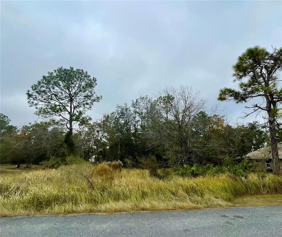 Lot 16 GOLDEN WARBLER RD WEEKI WACHEE, FL 34613