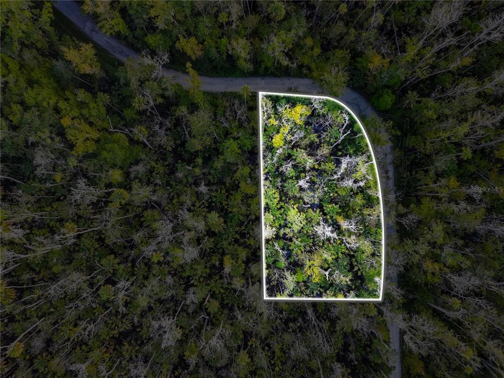 4441 S LEWOODS DRIVE HOMOSASSA, FL 34448