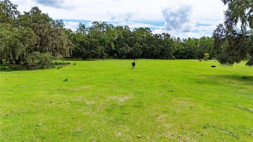PINKSTON ROAD DADE CITY, FL 33523