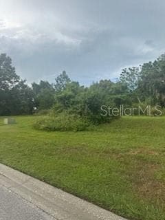29523 CHAPEL PARK DRIVE WESLEY CHAPEL, FL 33543