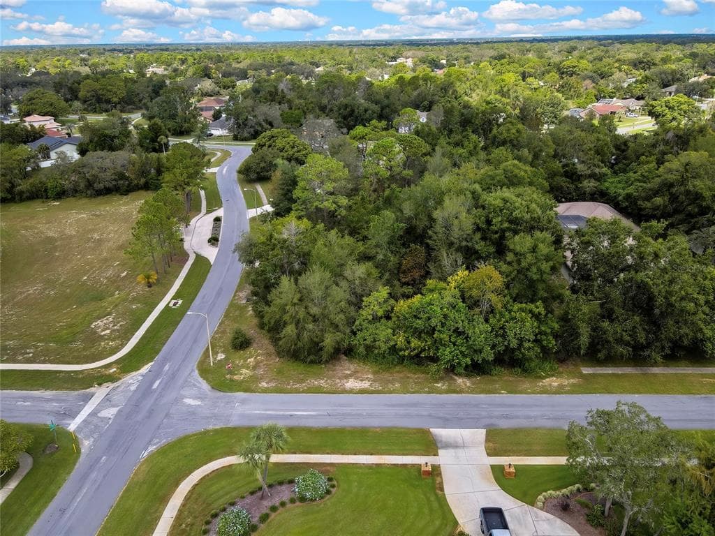351 ORIANA DRIVE SPRING HILL, FL 34609