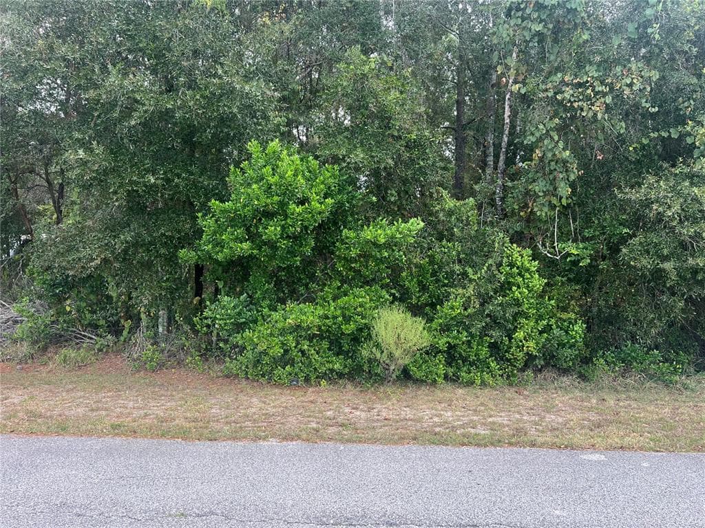 8014 SIMMONS STREET BROOKSVILLE, FL 34613