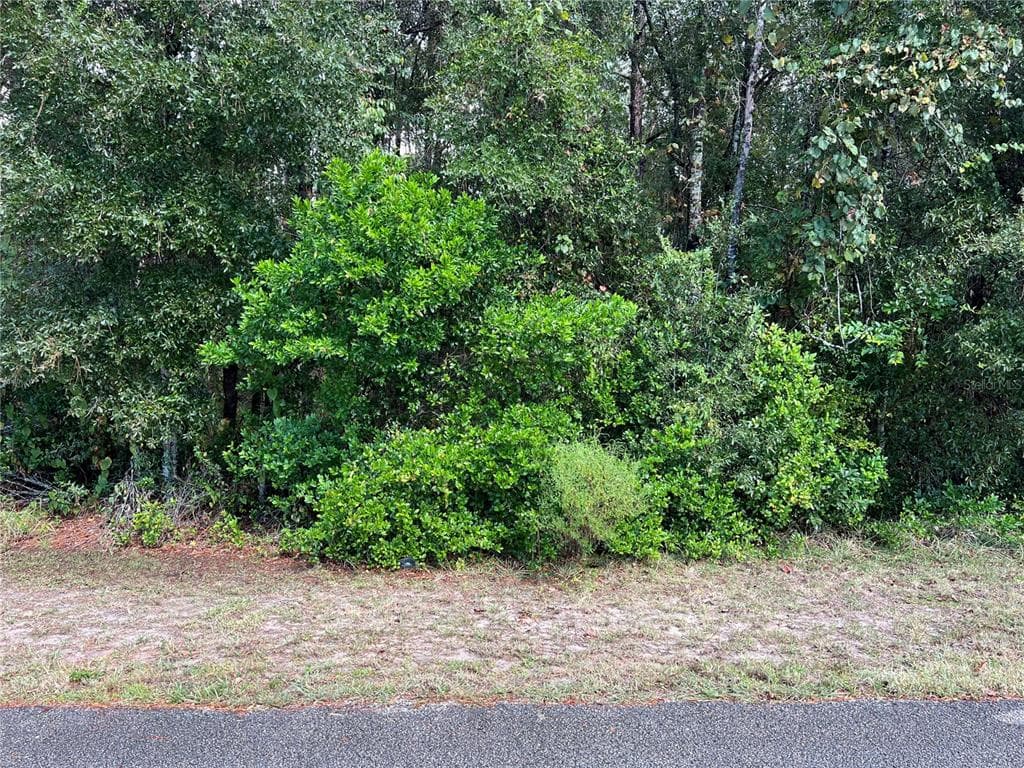 8026 SIMMONS STREET BROOKSVILLE, FL 34613