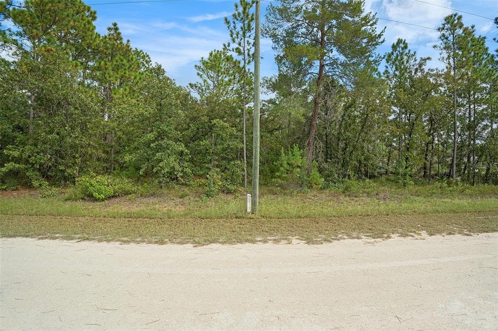 16246 MALDEN ROAD BROOKSVILLE, FL 34614