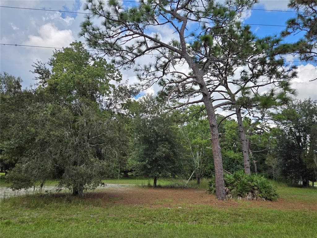 17901 DRIFTWOOD LANE LUTZ, FL 33558