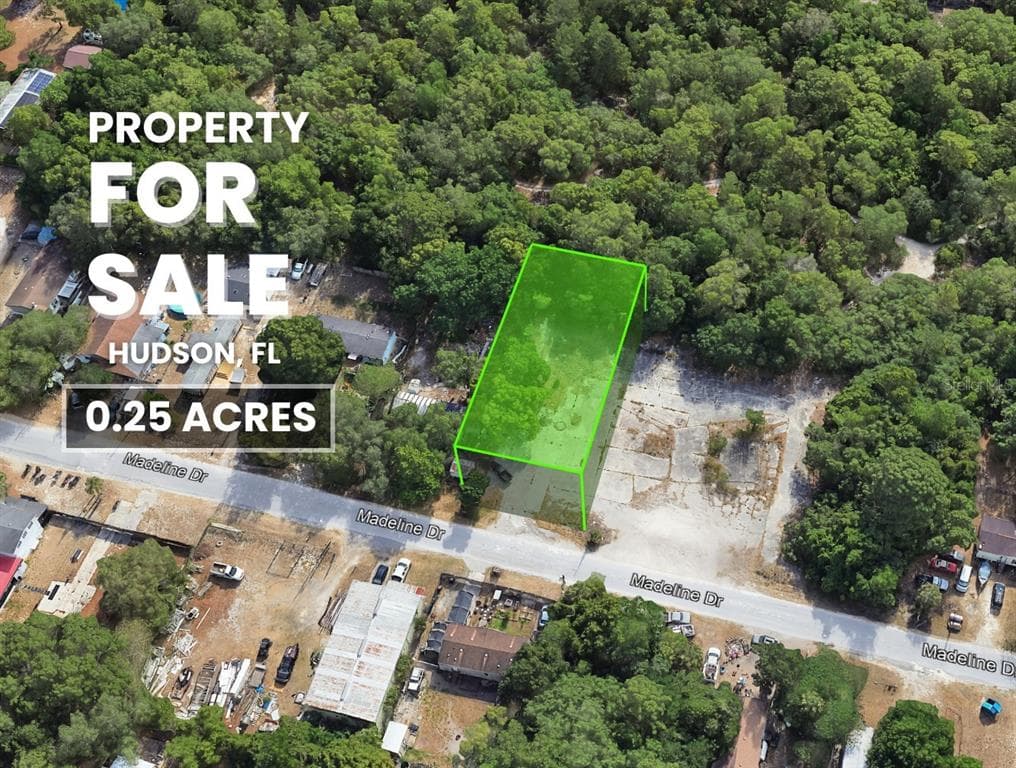 MADELINE DRIVE HUDSON, FL 34667