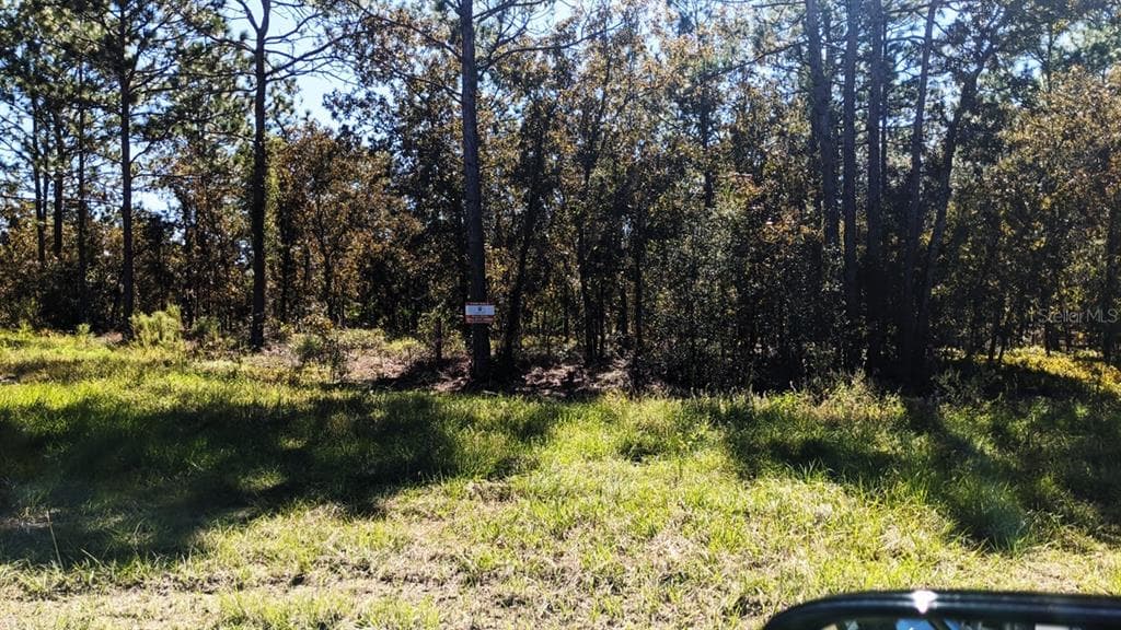 7781 SW 121ST TERRACE ROAD DUNNELLON, FL 34432