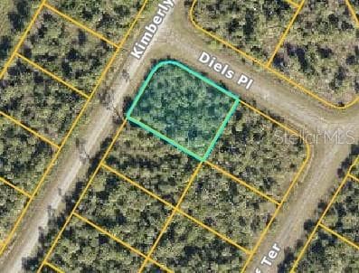 DIELS PLACE NORTH PORT, FL 34288