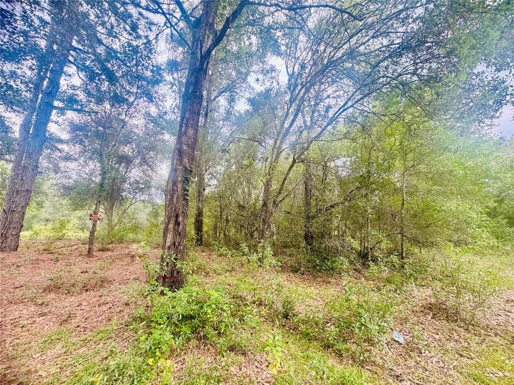 2203 ADAMS STREET INVERNESS, FL 34453