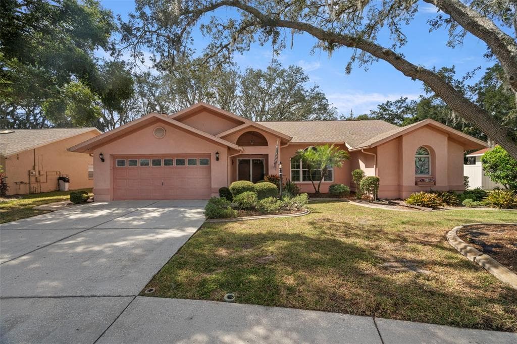 3177 O'HARA DRIVE NEW PORT RICHEY, FL 34655