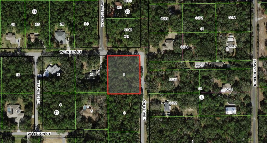 112 N BAUER ROAD LECANTO, FL 34461