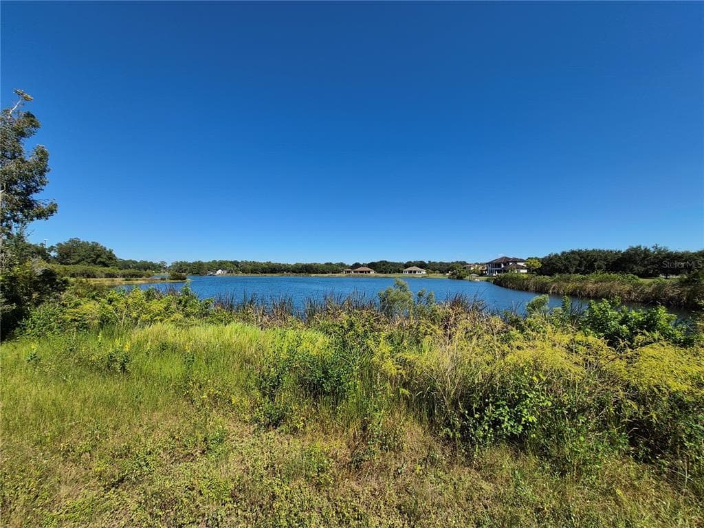 11 TRUMPETER COURT ODESSA, FL 33556