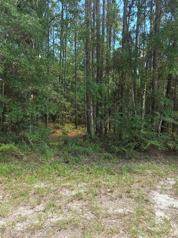 14126 RICEBIRD AVENUE BROOKSVILLE, FL 34614